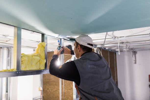 Reliable Le Roy, IL Insulation Contractor Solutions