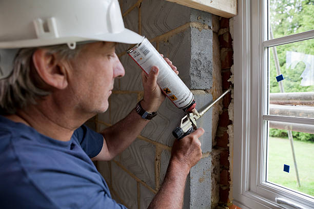 Best Geographic-Specific Insulation Services in Le Roy, IL