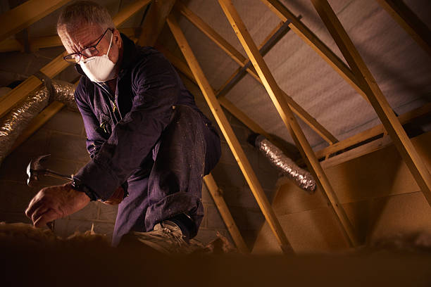  Le Roy, IL Insulation Contractor Pros