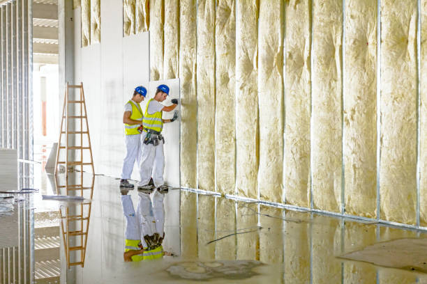Best Commercial Insulation in Le Roy, IL